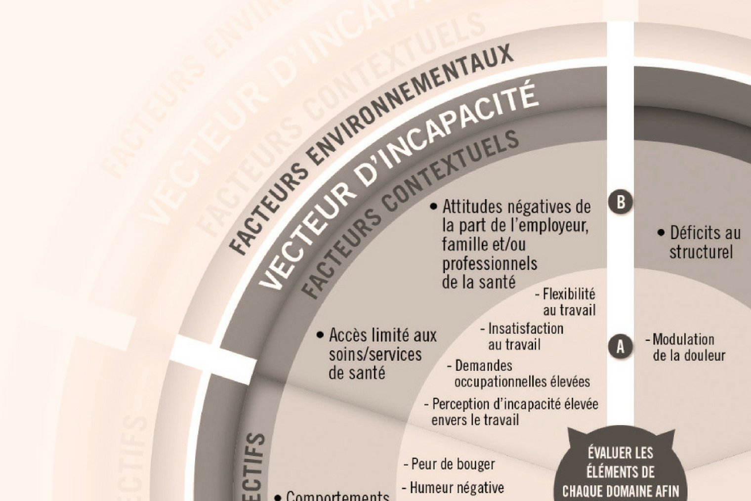 Formation : lombalgie complexe