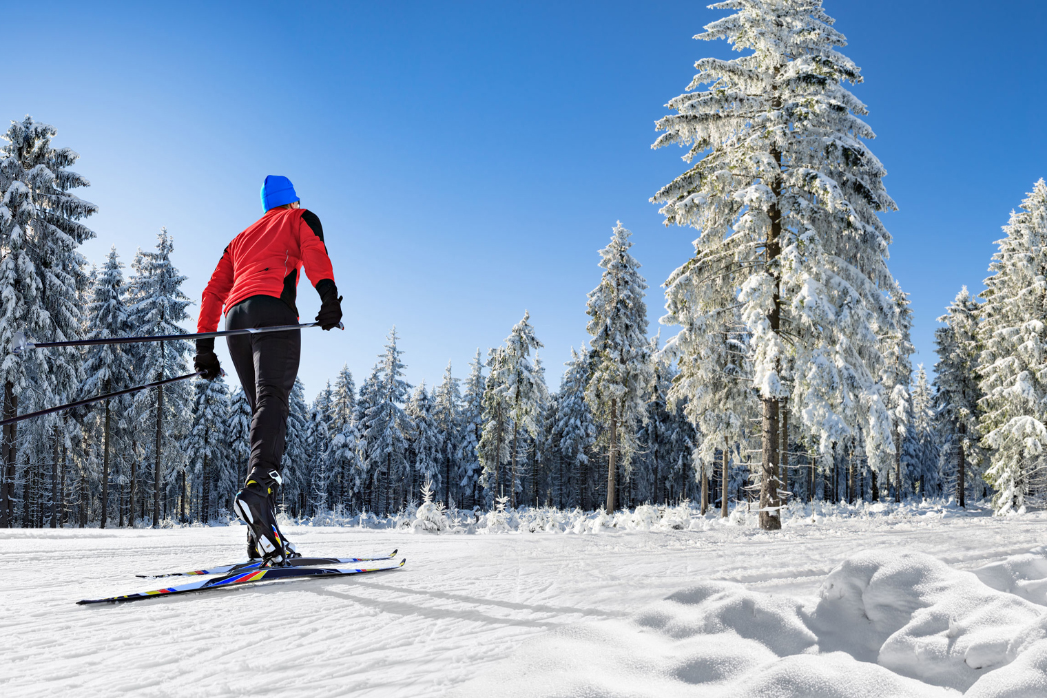 Ski de fond